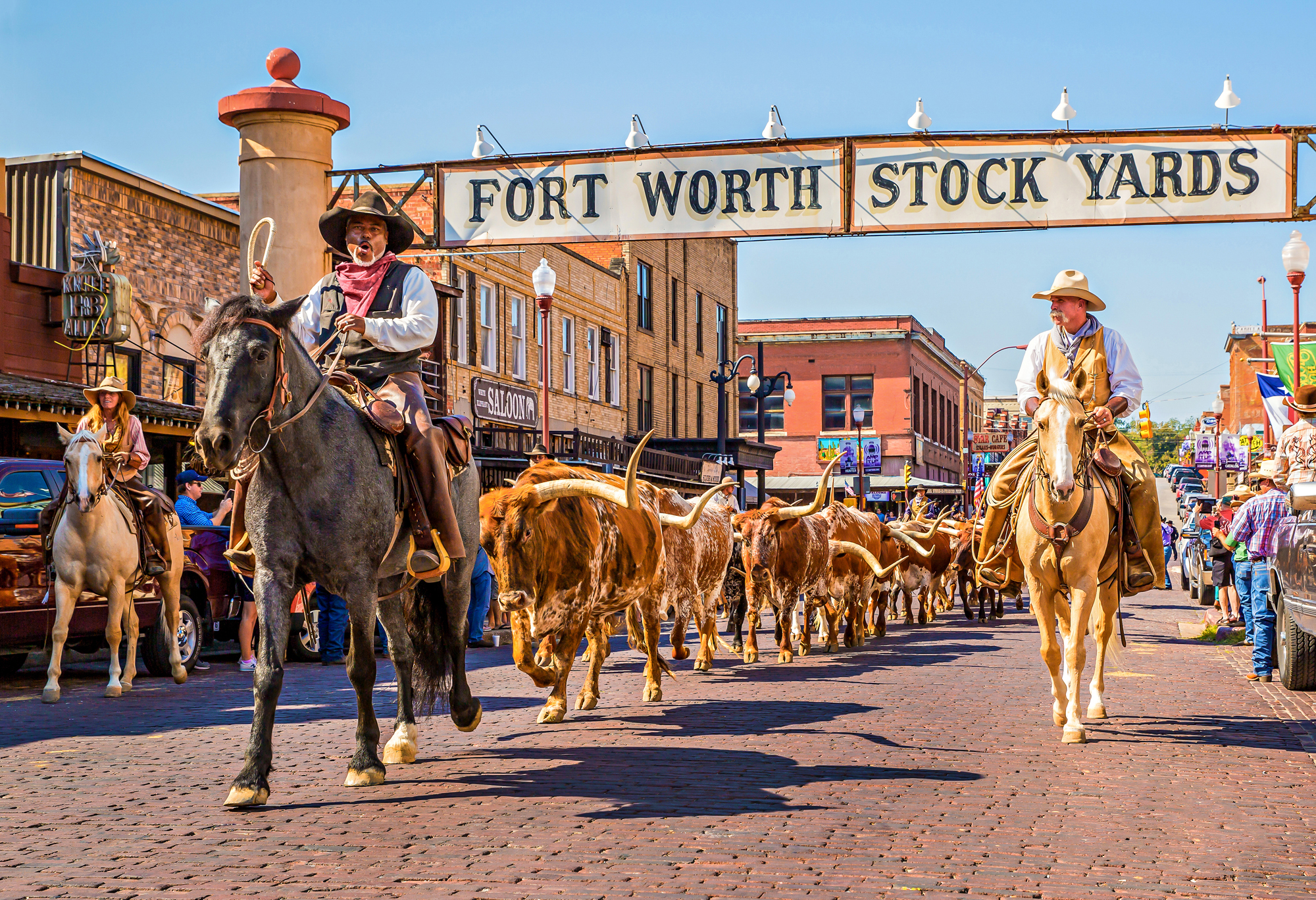Fort Worth Stockyards historic district cattle drive. The Lavatory Texas luxury restroom trailer rentals in Fort Worth